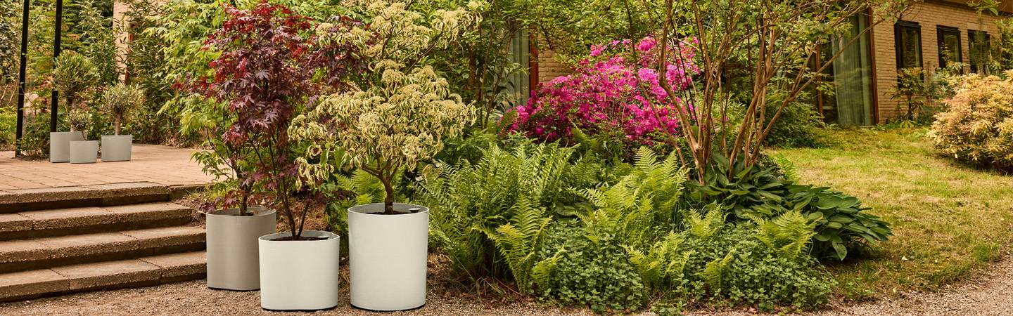 eden aquacare medium 40cm tortora tenue